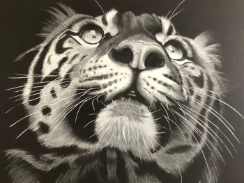 Obra contemporánea nombrada « Le tigre », Hecho por KURZ