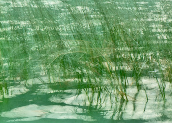 Obra contemporánea nombrada « La danse du lac », Hecho por ODILE PARENT