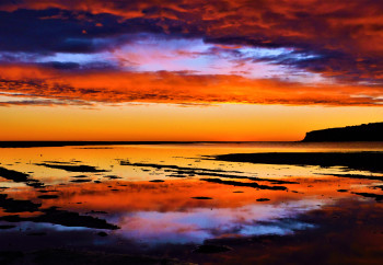 Obra contemporánea nombrada « Lever de soleil sur La Franqui - Aude », Hecho por LAURENT DOCQ