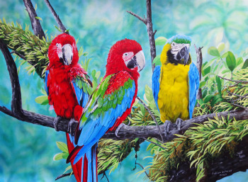 Obra contemporánea nombrada « Blue and yellow and scarlet Macaws », Hecho por JULIAN WHEAT