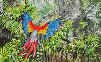 Obra contemporánea nombrada « Vol vers la liberté,Macaw », Hecho por JULIAN WHEAT