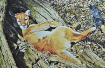 Obra contemporánea nombrada « Siesta,la Puma », Hecho por JULIAN WHEAT