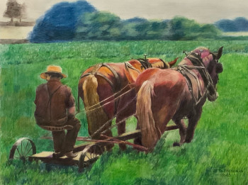 Obra contemporánea nombrada « CHEVAUX AU PRÉ », Hecho por JACQUES TAFFOREAU