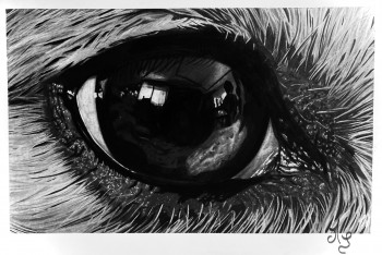 Obra contemporánea nombrada « Dans les yeux de Nala », Hecho por MS ART VIEW