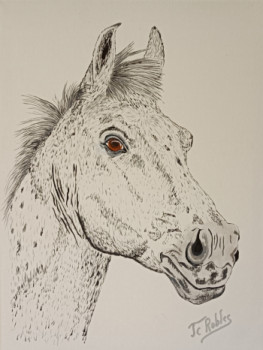 Obra contemporánea nombrada « Tête de cheval sur toile coton. Peinture Originale acrylique. », Hecho por JEAN-CLAUDE ROBLES