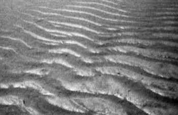 Obra contemporánea nombrada « Ondes de sable sur la plage », Hecho por CASSANDRE