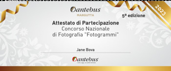 Obra contemporánea nombrada « participation au concours italien », Hecho por JANE BOVA