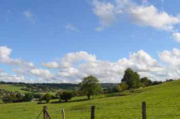 Normandy's country En el sitio ARTactif