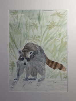 Obra contemporánea nombrada « The raccoon », Hecho por MIHA