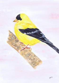 Obra contemporánea nombrada « American Goldfinch », Hecho por MIHA