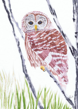 Obra contemporánea nombrada « Barred owl », Hecho por MIHA