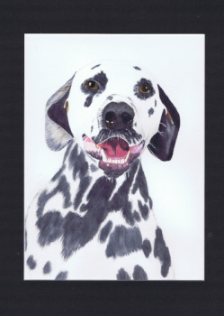 Obra contemporánea nombrada « Portrait chien dalmatien - Dadou », Hecho por MIHA