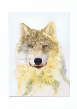 Obra contemporánea nombrada « Portrait chien loup - Lucy », Hecho por MIHA