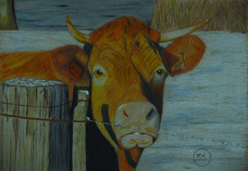 Obra contemporánea nombrada « Une vache en hiver », Hecho por PIRDESSINS