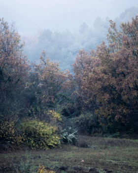 Obra contemporánea nombrada « Photo de paysage vu de ma fenêtre », Hecho por ONEPICS