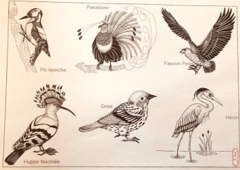 Obra contemporánea nombrada « Planche oiseaux », Hecho por MARILOU BRUN