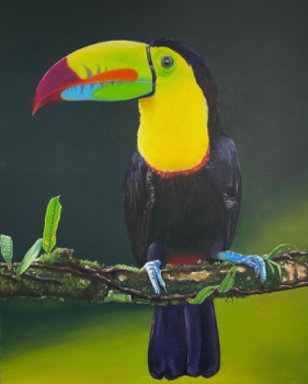 Obra contemporánea nombrada « Tucan », Hecho por ADRIANA