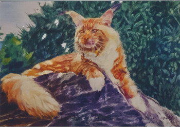 Chat Maine Coon XXL En el sitio ARTactif