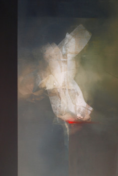 Obra contemporánea nombrada « Serie Selgeist Nº6 », Hecho por NACHO MUR