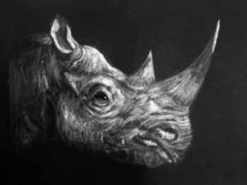 Obra contemporánea nombrada « Rhinocéros », Hecho por EG