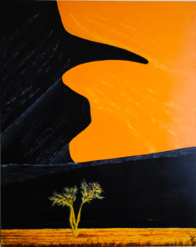 Obra contemporánea nombrada « Setting sun over the Namibian desert », Hecho por STEFAN