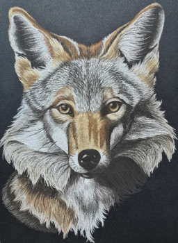 Obra contemporánea nombrada « Coyote », Hecho por ANDREA REVERT RODRíGUEZ