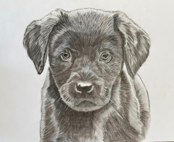 Obra contemporánea nombrada « Chiot Labrador Chocolat », Hecho por LES PORTRAITS DE TOSCANE