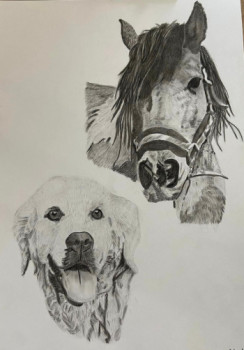 Obra contemporánea nombrada « Duo poney/golden retriever », Hecho por LES PORTRAITS DE TOSCANE