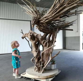 Obra contemporánea nombrada « L'aigle », Hecho por L'ARBRE DE MER