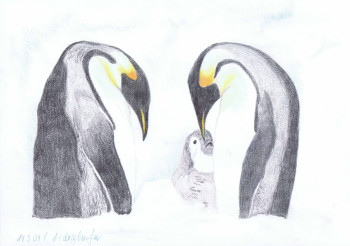 Obra contemporánea nombrada « Pinguine Familie », Hecho por ABDELGHAFAR