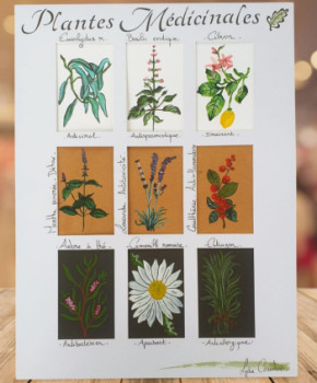 Obra contemporánea nombrada « Plantes médicinales Ill.1 », Hecho por LYDIE COURBIER