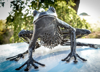 Obra contemporánea nombrada « Grenouille », Hecho por SOLENNE HUET