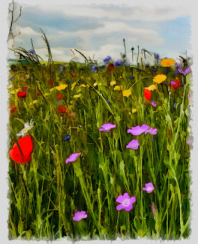 Obra contemporánea nombrada « champs de fleurs », Hecho por DOMINIQUE DULOT DIGITAL