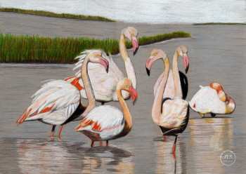 Obra contemporánea nombrada « La grâce éblouissante du Flamant Rose de Camargue. », Hecho por PIRDESSINS