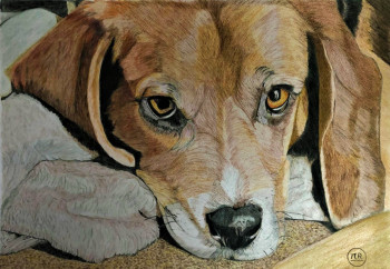 Obra contemporánea nombrada « Beagle au repos », Hecho por PIRDESSINS