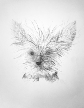 Obra contemporánea nombrada « Chien de Face », Hecho por VANINA CRAVENNE