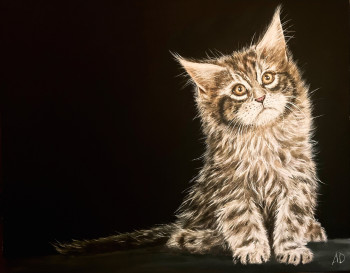 Obra contemporánea nombrada « Bébé main coon », Hecho por ANGEL’ART