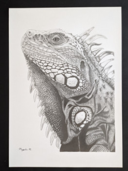 Obra contemporánea nombrada « Iguana », Hecho por MAGALIE. M