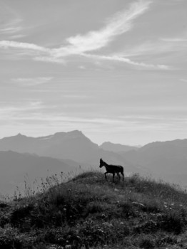 Obra contemporánea nombrada « Jeune bouquetin », Hecho por JéRôME FORêT