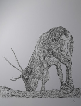 Obra contemporánea nombrada « Cerf », Hecho por CRéAWILL