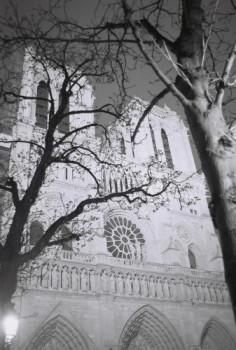 Obra contemporánea nombrada « Façade parvis Notre-Dame (avec arbres) », Hecho por SARCIE