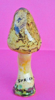 Champignon Hygrophorus blond En el sitio ARTactif