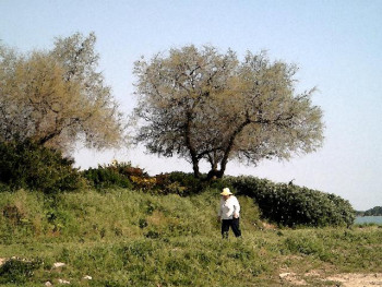 Promenade 1 En el sitio ARTactif