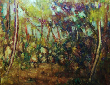Obra contemporánea nombrada « "Arbres et rochers (forêt d'Iraty)" », Hecho por JEAN PIERRE HARIXCALDE