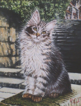 Obra contemporánea nombrada « main-coon », Hecho por ALCOAT