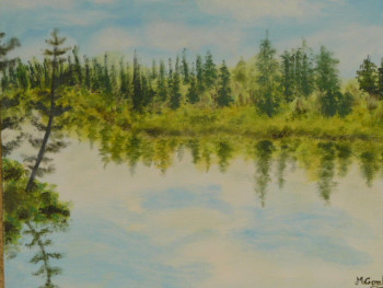 Obra contemporánea nombrada « lac St Jean Canada », Hecho por COMBEMICHEL