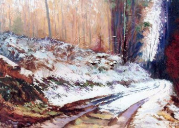 Obra contemporánea nombrada « Volksberg », Hecho por ROBERT SCHOULER