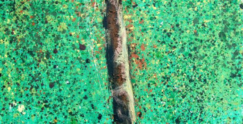 Obra contemporánea nombrada « foret 101 », Hecho por AQUARELLUS