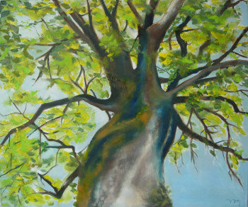 Arbre - vue du bas En el sitio ARTactif