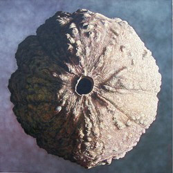 Obra contemporánea nombrada « SEED PLANET », Hecho por PELIZZARI